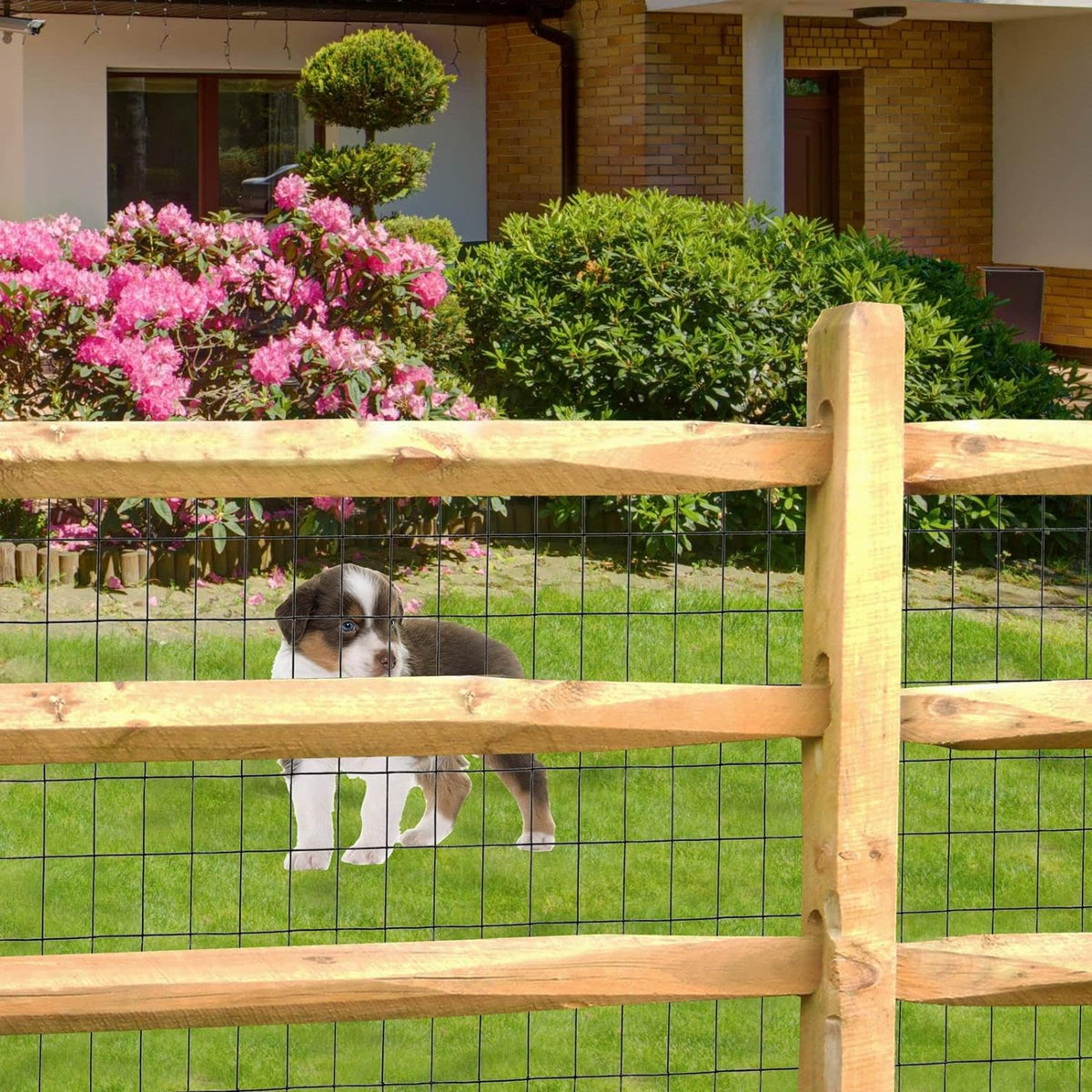 Black PVC Coated Welded Wire Fence 24 Inch x 50 Foot, 2 Inch x 3 Inch 16GA, Garden Border Fencing