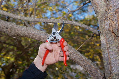 Corona BP 6360 Forged Steel Aluminum Handles Angled Bypass Hand Pruner - 1 inch Cut Capacity Stem