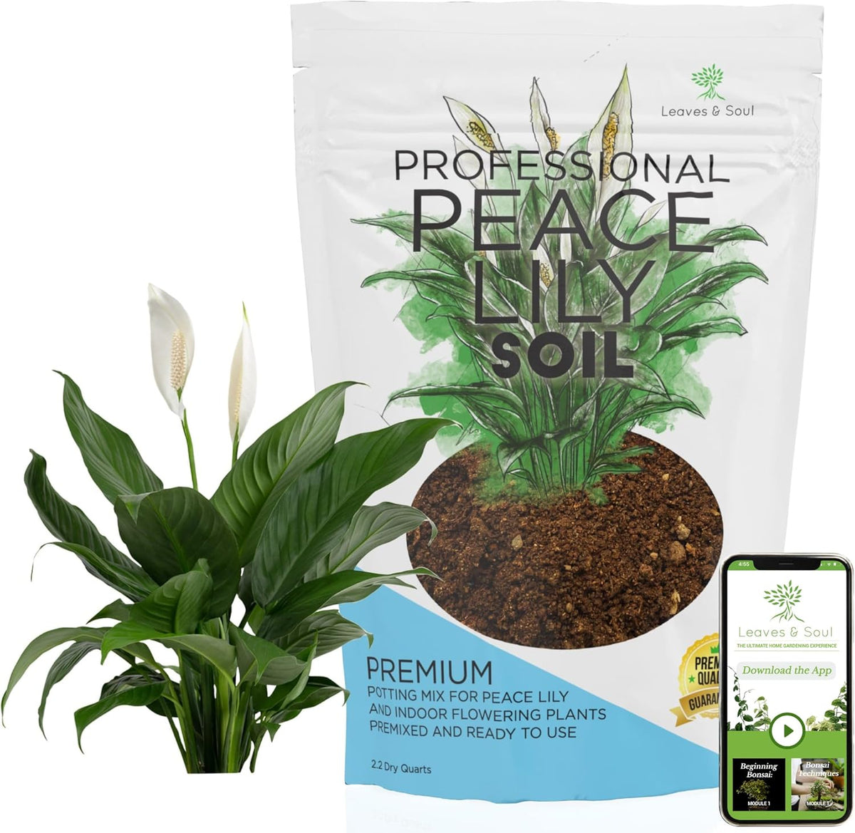 Professional Peace Lily Soil | Large 2.2 Quarts Ready to Use for Peace Lily Plants | Peat Moss