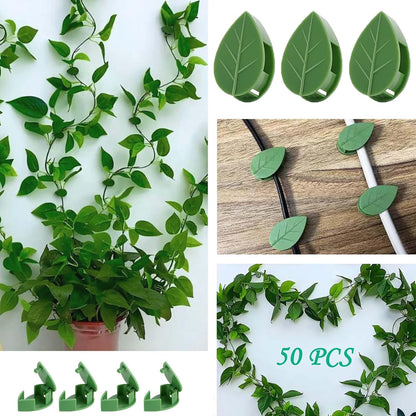 Plant Climbing Wall Fixture Clips, 100Pcs Self-Adhesive Plant Fixer Wall Clips Hook Vines Traction