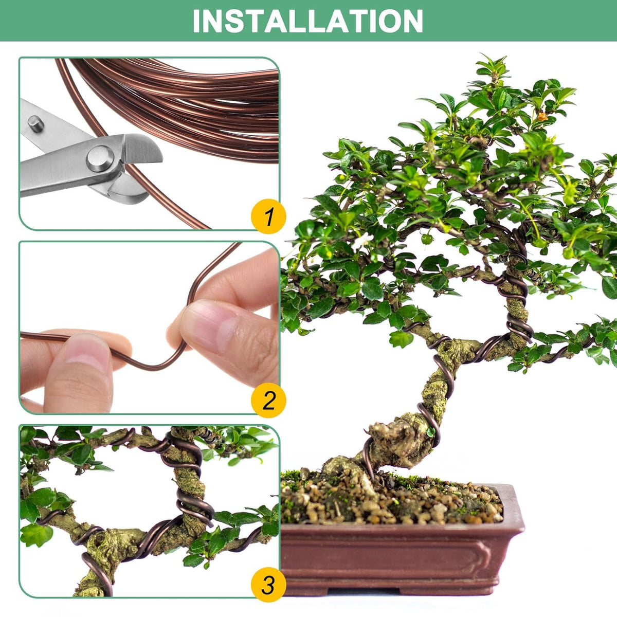 2.5mm Bonsai Training Wire, 16.4 Feet Total Anodized Aluminum Bonsai Wires for Bonsai Tree