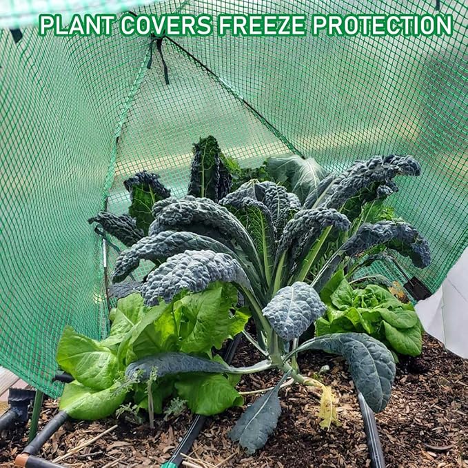 2 Pack Plant Freeze Protection Covers Winter Shrub Covers Plant Frost Protection Tent, Warm Plant