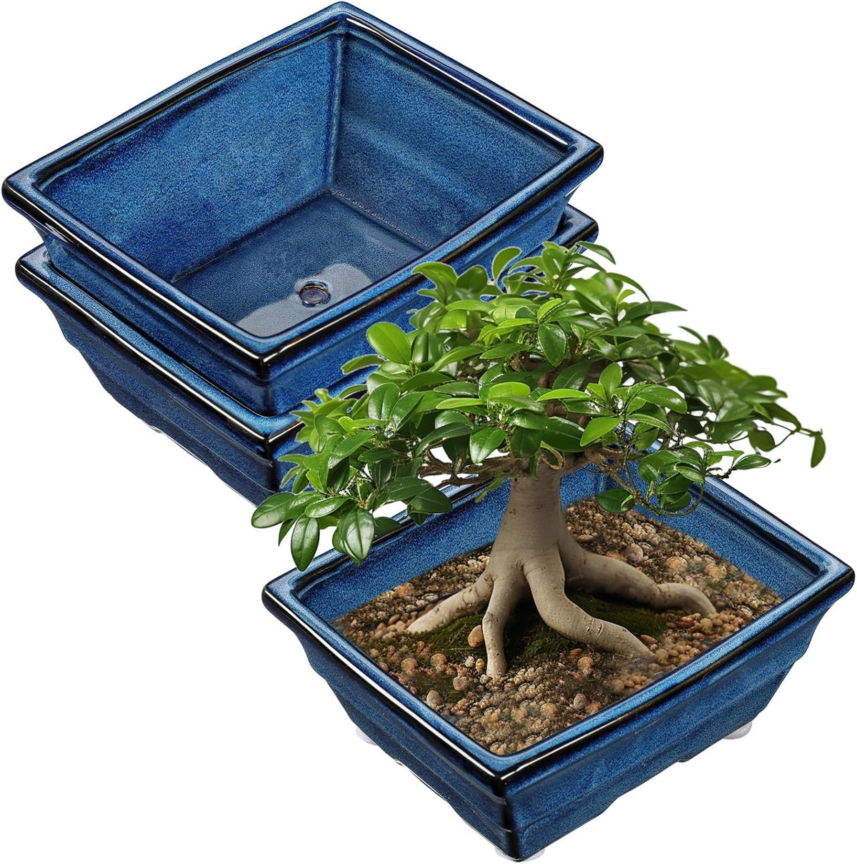 Set of 2 Large Blue Glazed Ceramic Bonsai Pots, 10" Rectangular Bonsai Planters Pots with Drainage