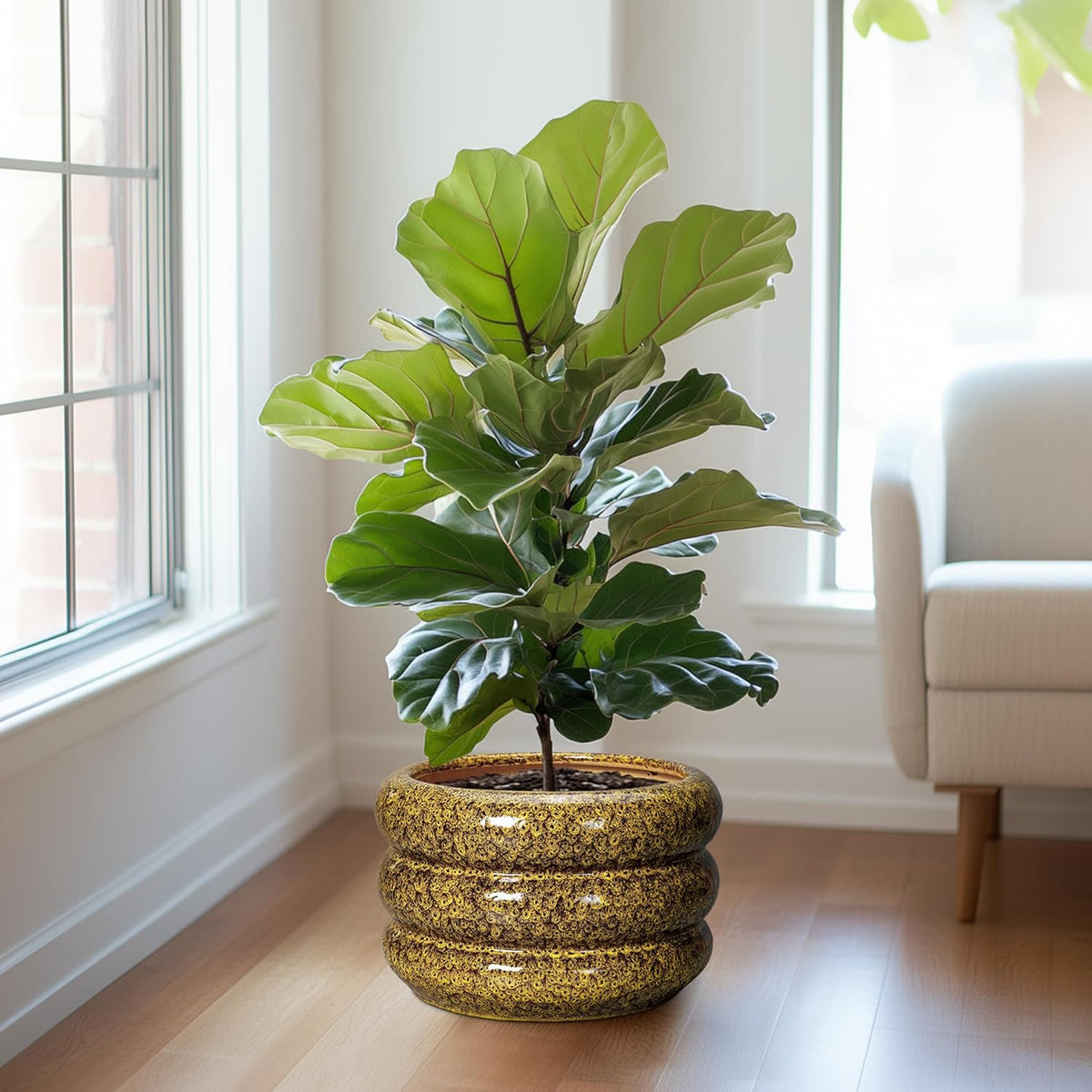 SQOWL Ceramic Pots for Plants - 13.5 Inch Ceramic Planter for Indoor Plants, Large Plant Pots with