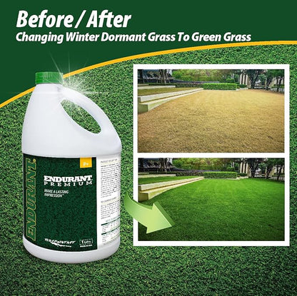 Endurant Turf Colorants - Premium Spray On Green Grass Paint For Lawns - Revives Dry, Patchy Yards