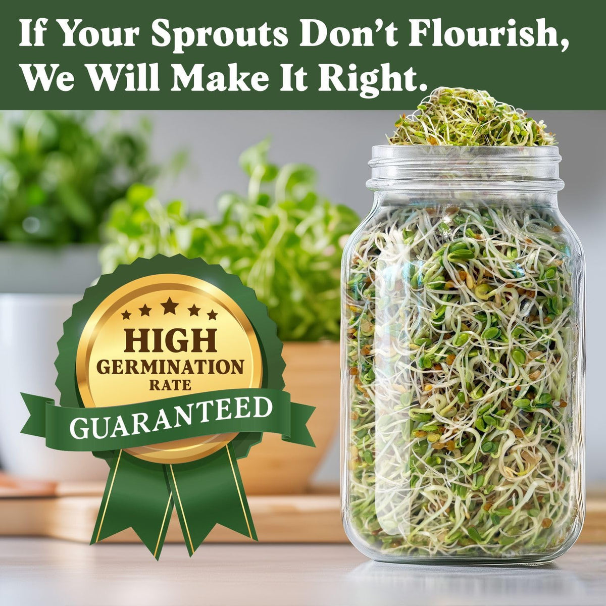 Seedboy Organic Non-GMO Sprouting Seeds, Hormone Balance Blend - USA Grown Microgreens Mix with