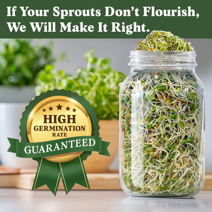 Seedboy Organic Non-GMO Sprouting Seeds, Hormone Balance Blend - USA Grown Microgreens Mix with