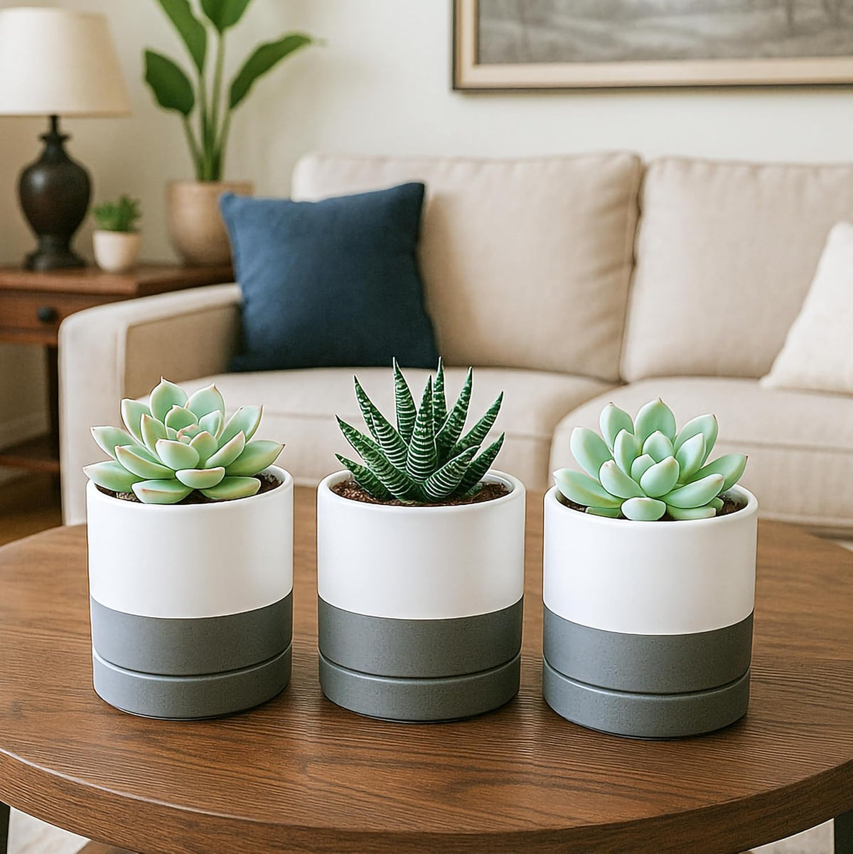 D'vine Dev 4.7 Inch Ceramic Planter Pot with Drainage Hole and Saucer, Indoor Cylinder Round