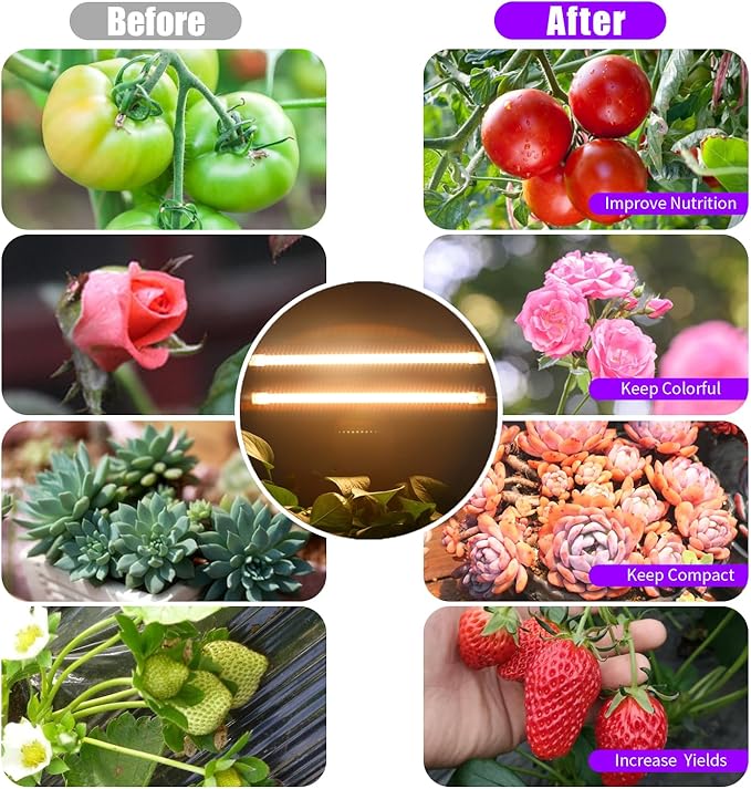 LED Grow Light Strips, Full Spectrum 3500K Plant Growing Lights for Indoor Plants, Plant Lamp for