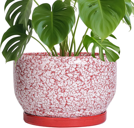 SQOWL Ceramic Planters for Indoor Plants - 10 Inch Flower Pots with Drainage Hole and Saucer