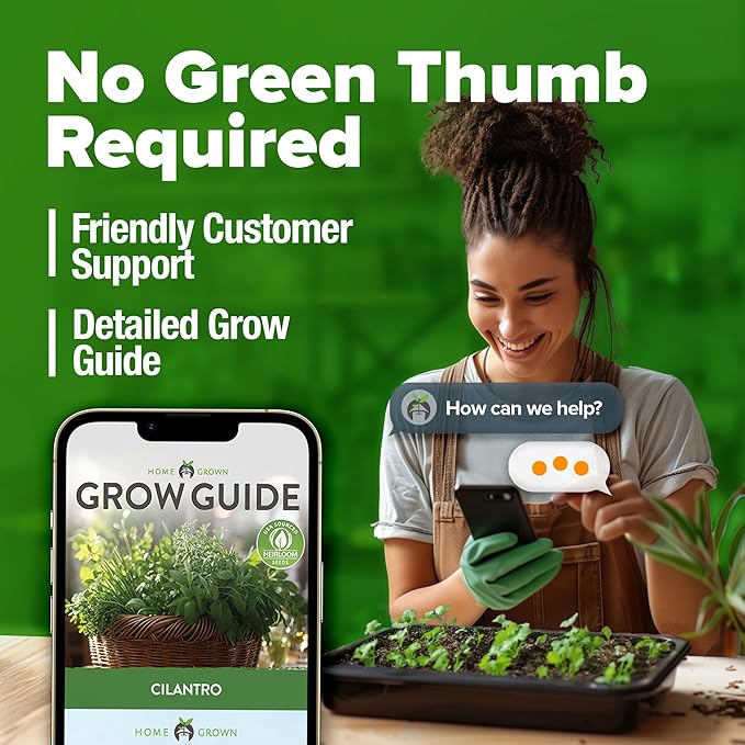 HOME GROWN 𝗨𝗦𝗔 𝗣𝗥𝗘𝗠𝗜𝗨𝗠 500+ Cilantro Seeds for Planting Indoors or Outdoors - Heirloom