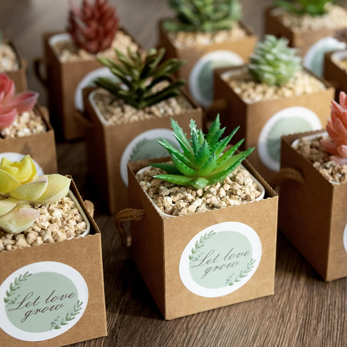 Temlum 2.5 Inch Succulent Wrap Bags (Fits 2.5″ Pots) with Thank You & Let Love Grow Stickers, Small
