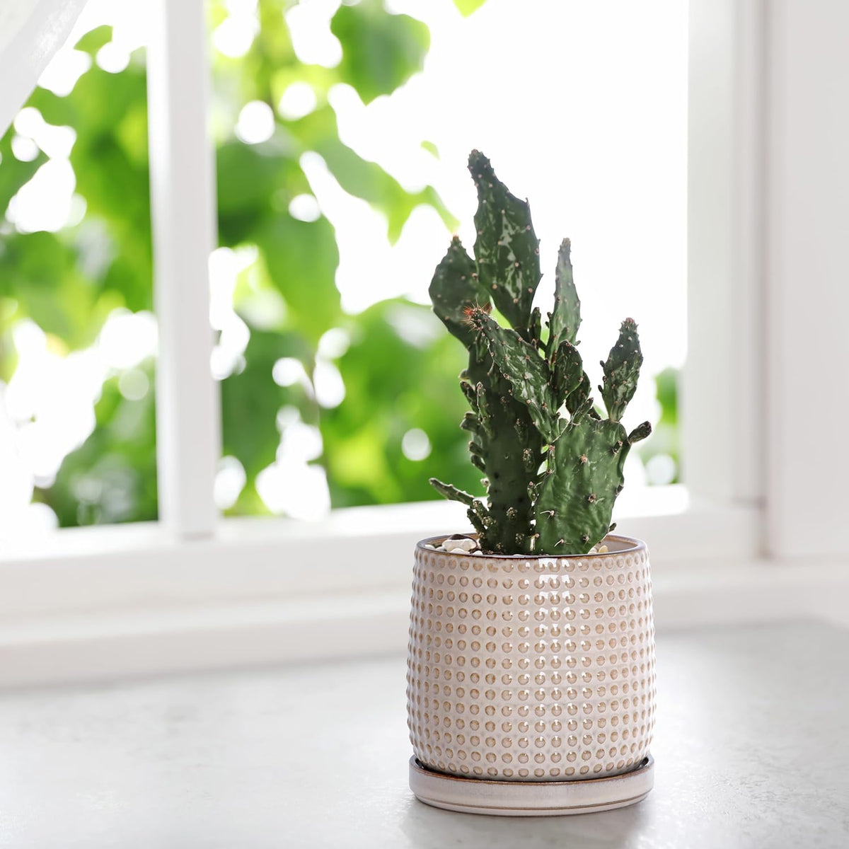 D'vine Dev 4 Inch Ceramic Beaded Stoneware Planter Pot - Flower Pot with Drainage Holes and Saucers