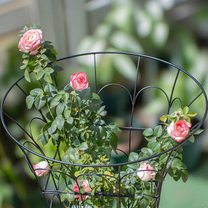 COOOXIM Peony Cages & Supports - Metal Plant Obelisk Trellis for Outdoor Use, 27.5 x 22 Inches