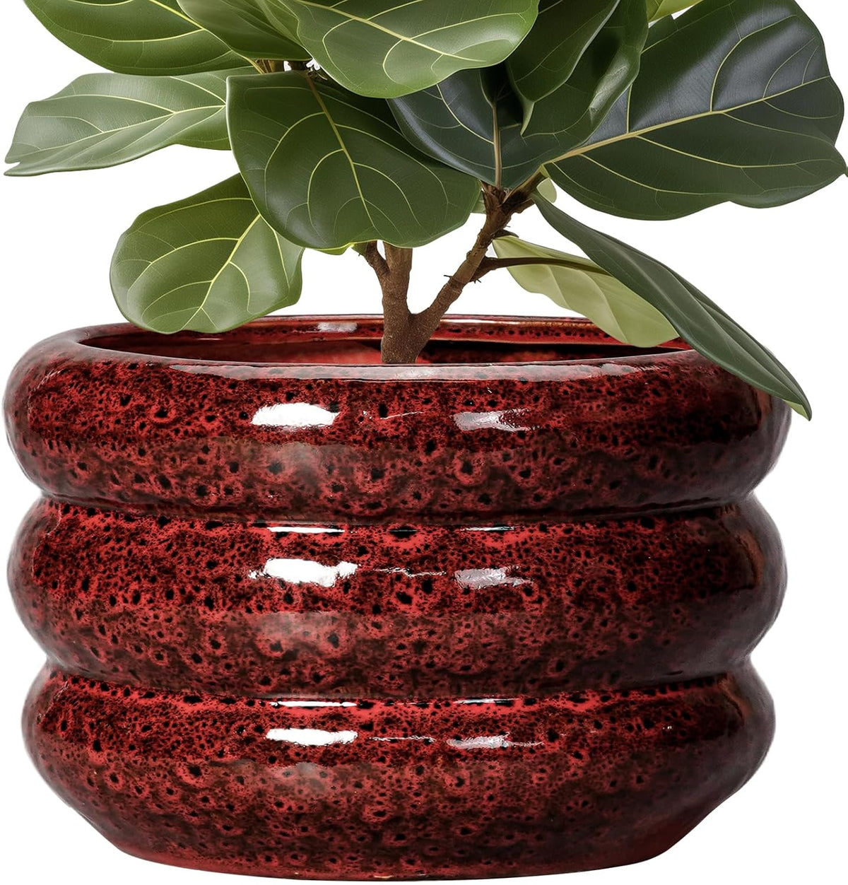 SQOWL Ceramic Planters for Indoor Plants - 13.5 Inch Plant Pot with Drainage Hole, Large Ceramic