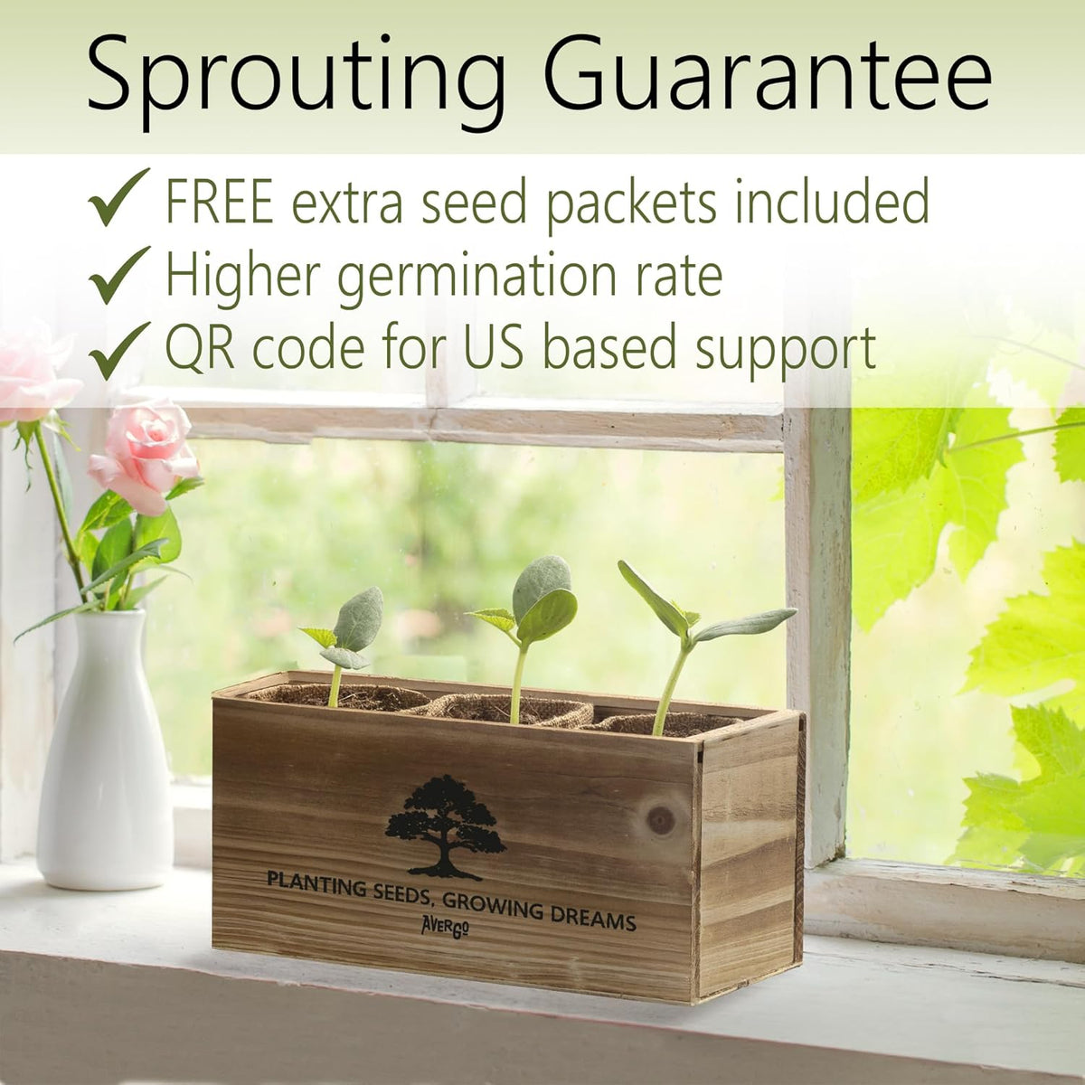 Avergo Bonsai Tree Kit – 3X Unique Japanese Bonzai Trees | Complete Indoor Starter Kit for Growing