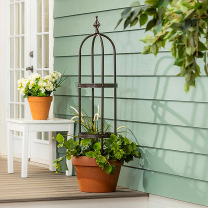 Evergreen Garden 5 ft Metal Garden Obelisk Trellis for Climbing Plants Vines, Clematis & Flowers |