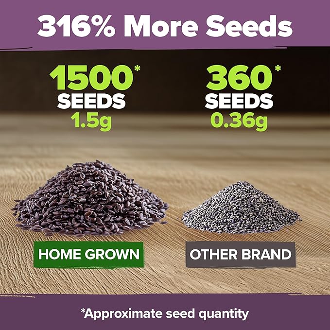 HOME GROWN 𝗨𝗦𝗔 𝗣𝗥𝗘𝗠𝗜𝗨𝗠 English Lavender Seeds 1,500+ 𝗡𝗢𝗡-𝗚𝗠𝗢 Wildflower Seed for
