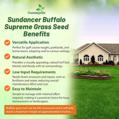 Outsidepride Perennial Buffalo Grass Seed - 5 lbs Heat & Drought Tolerant, Low Maintenance, Warm
