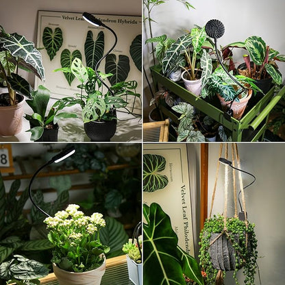 Grow Lights for Indoor Plants, Full Spectrum Plant Grow Lights, 4000K Pot Clip LED Plant Lamps for