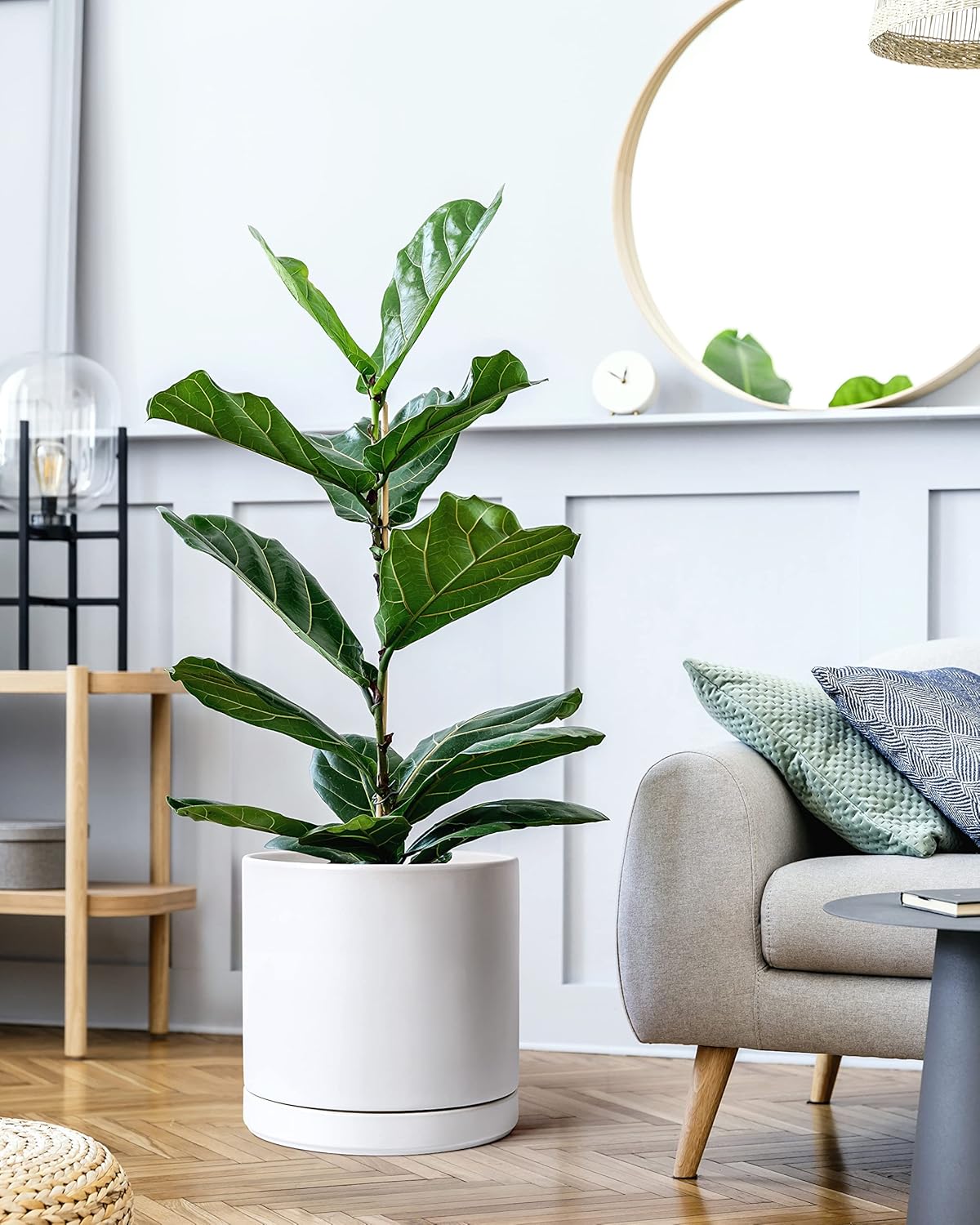 D'vine Dev 12 Inch Ceramic Planter Pot with Drainage Hole and Saucer, Indoor Cylinder Round Planter