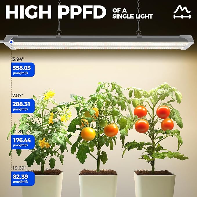 Barrina TX36 2FT Grow Light, 144W(4 x 36W, 800W Equivalent), High PPFD, Full Spectrum, Mechanical