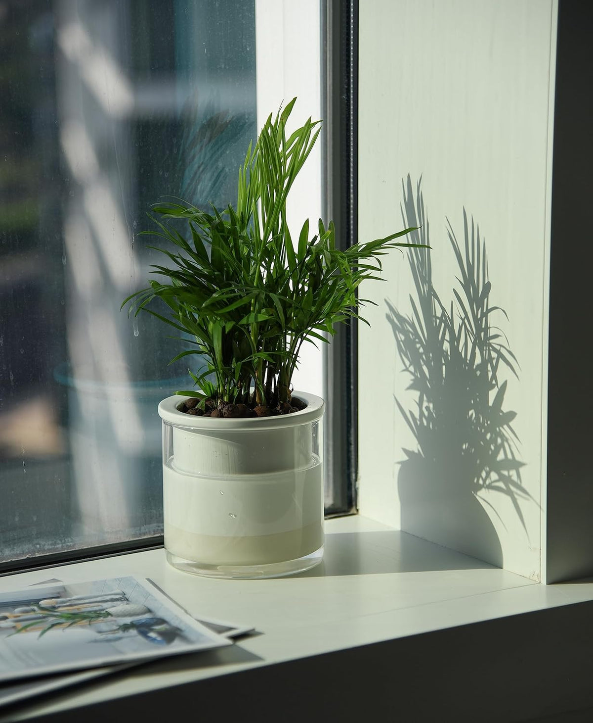 Phoenix Vine 4 Inch Self Watering Planter Pot, Design White Terracotta Pots for Plants, Indoor
