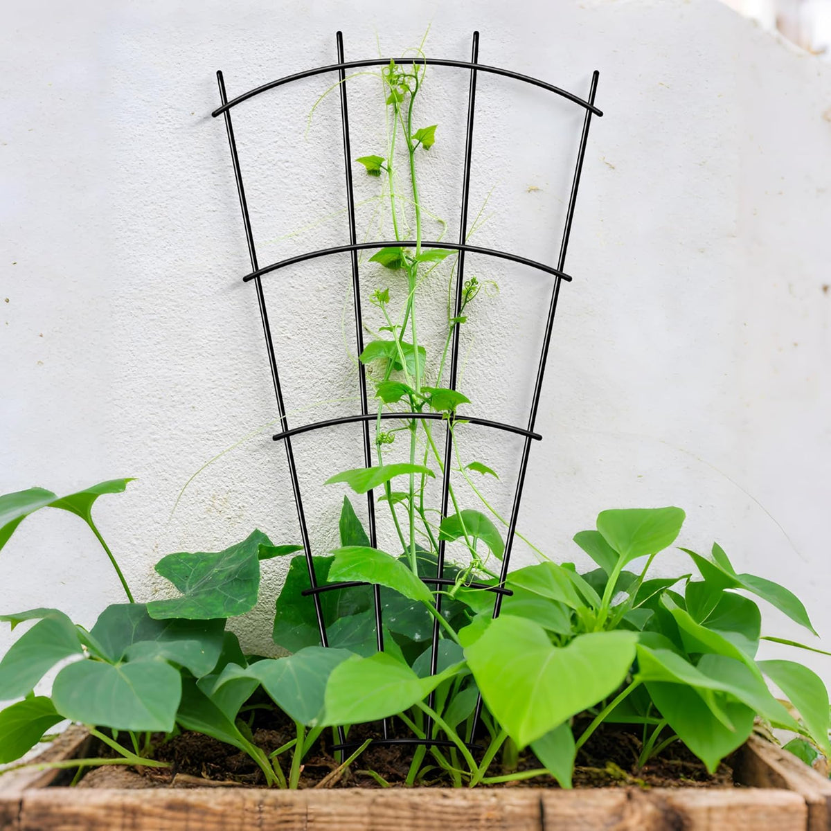 4 Pack 32'' Indoor Plant Trellis for Potted Plants Climbing Outdoor Metal Garden Trellis