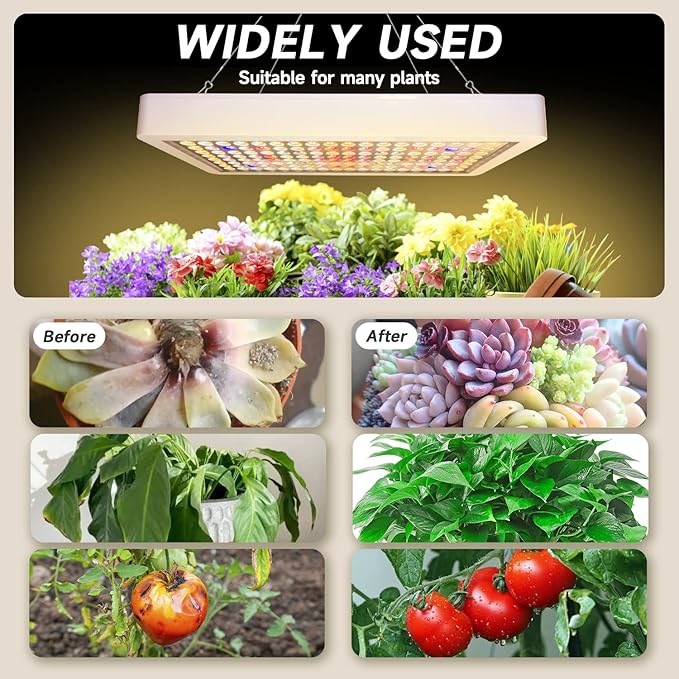 B2000W LED Plant Grow Light Dimmable,Best Grow Lights for Indoor Plants Full Spectrum, Seed