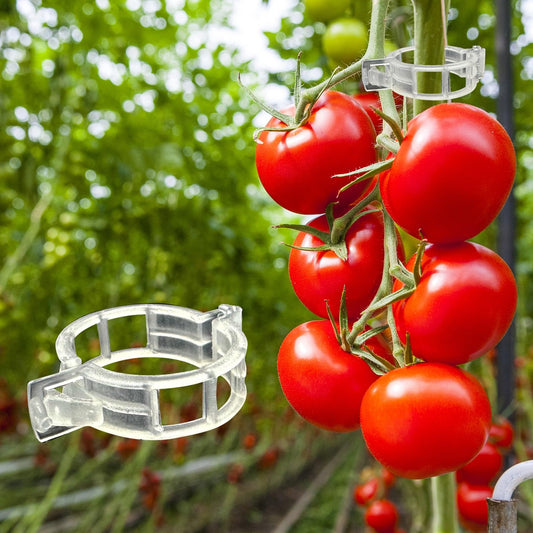 Dalzom® 300Pcs Tomato Clips, Plastic Trellis Clips Plant Support Clips, Plant Clips for Support