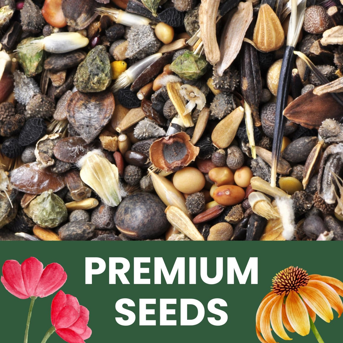 Perennial Species Mix - Large 1 Ounce Packet - 15,000 Flower Seeds for Planting - Wildflower Mix