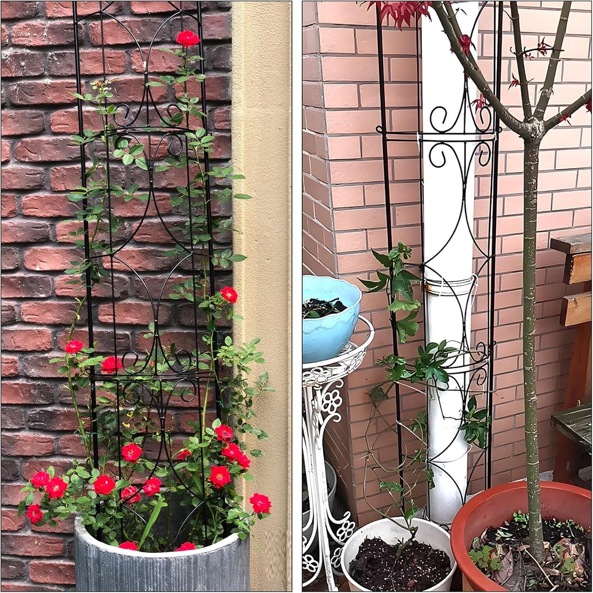 Garden Trellis 2 Pack 72'' H x 12'' W Metal Plant Trellis Indoor/Outdoor Metal Garden Trellis Plant