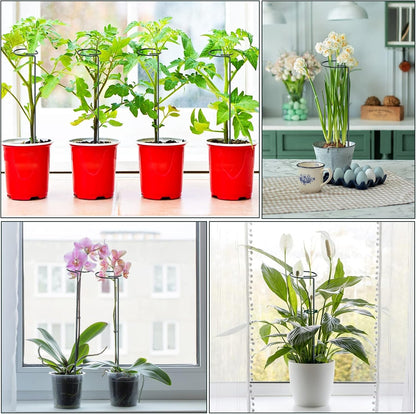 Green Metal Plants Support Stakes (Pack of 8), Garden Single Stem Plant Support Rod and Ring with