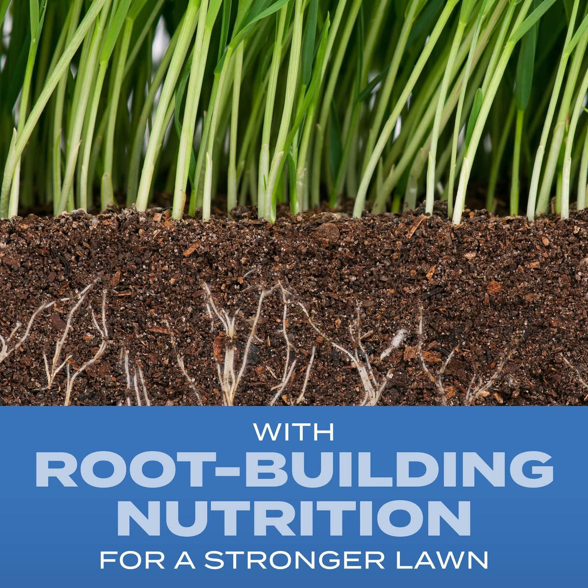 Scotts Turf Builder Grass Seed Sun and Shade Mix with Fertilizer and Soil Improver, Thrives in Many