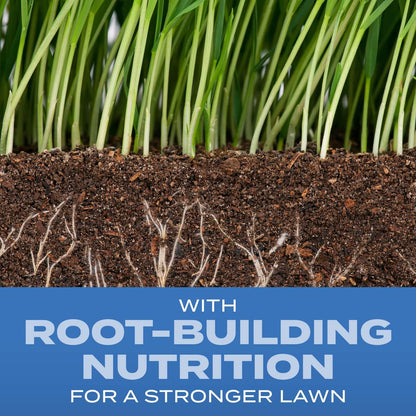 Scotts Turf Builder Grass Seed Sun & Shade Mix with Fertilizer and Soil Improver, Thrives in Many