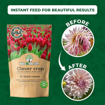 BuildASoil No-Till Clover Seed Cover Crop Blend 12 Species Cover Crop Seed Mix Premium Clover Seeds