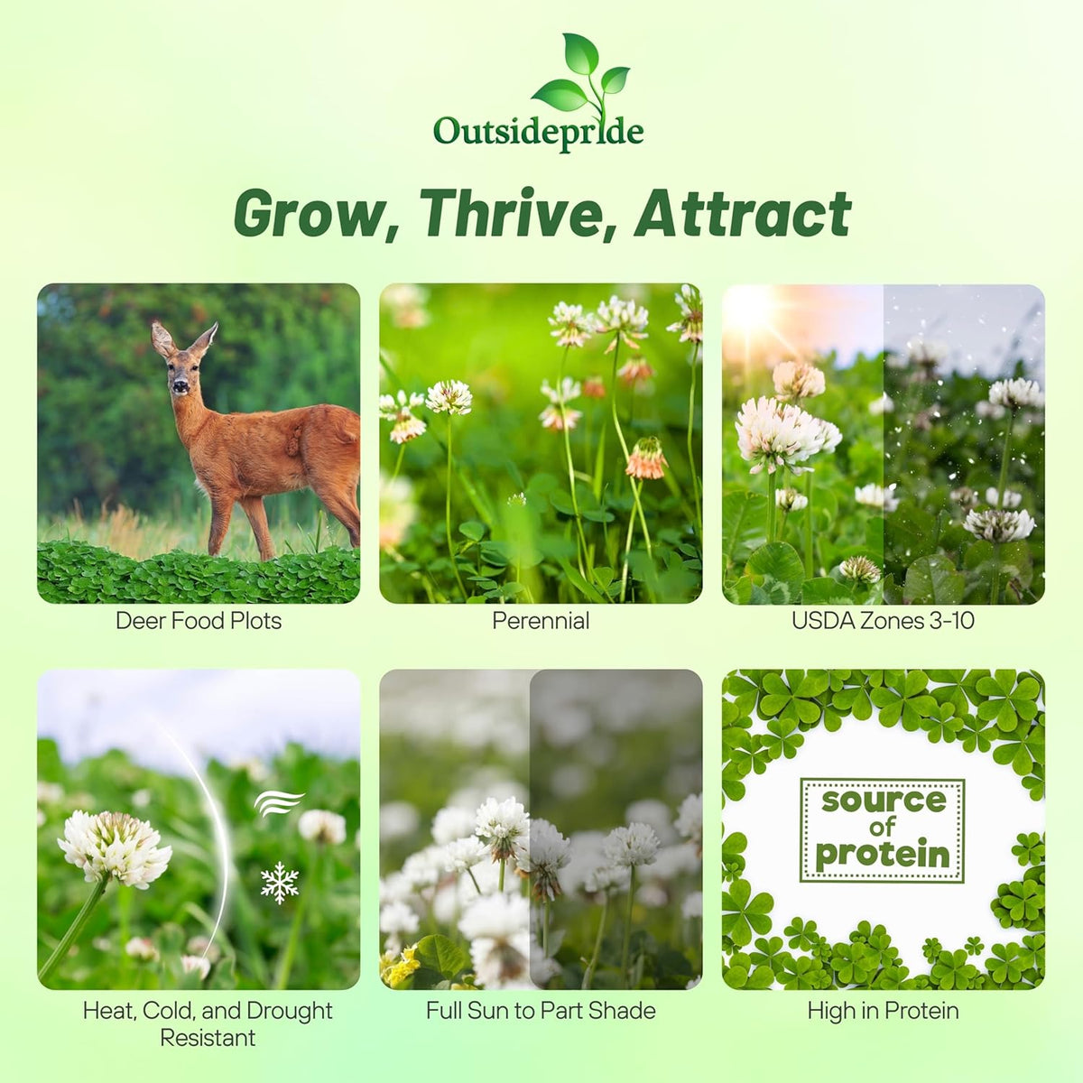 Outsidepride Perennial Clover King Seed Mix - 10 lbs Nitrocoated, Inoculated, Heat & Cold Tolerant