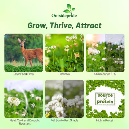 Outsidepride Perennial Clover King Seed Mix - 10 lbs Nitrocoated, Inoculated, Heat & Cold Tolerant