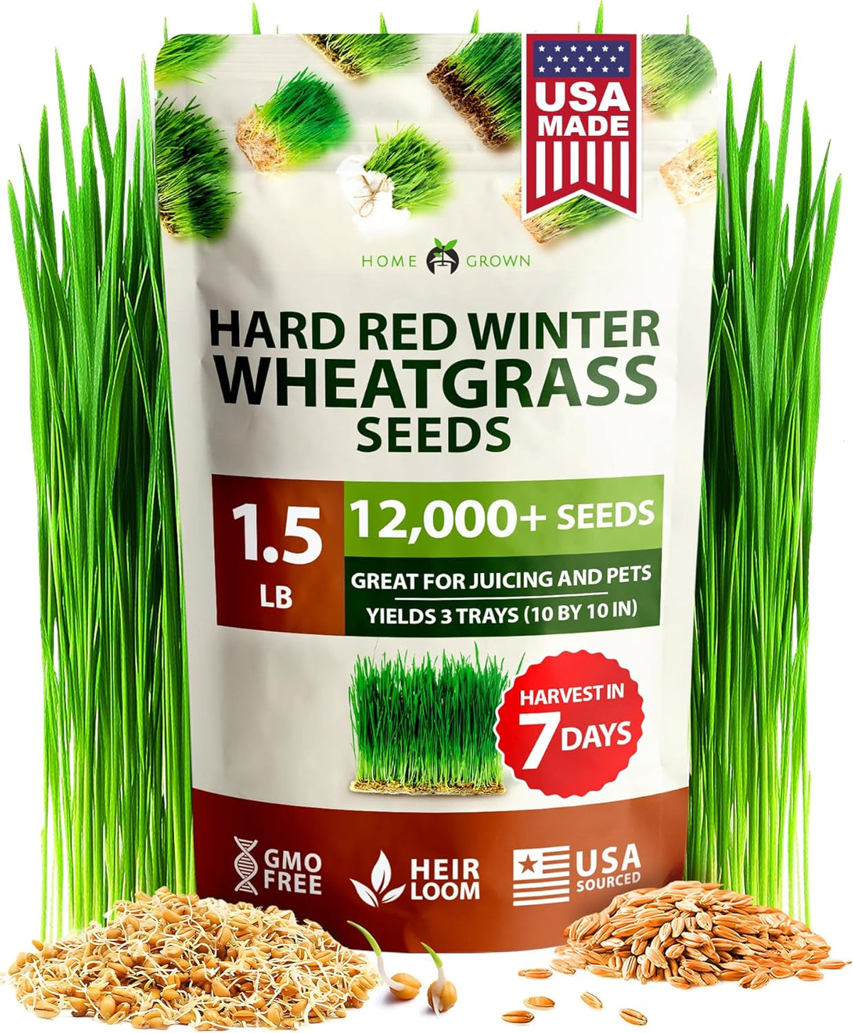 HOME GROWN 12,000+ Wheatgrass Seeds Bulk Pack(1.5 lb) 𝗡𝗢𝗡-𝗚𝗠𝗢 𝗨𝗦𝗔 Hard Red Winter