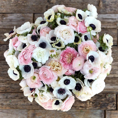Eden Brothers Anemone & Ranunculus Bulbs - Paris in Spring Collection