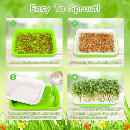 Legigo 10 Pack Green Seed Sprouter Trays- Soil-Free Cultivation Germination Tray, BPA Free Nursery