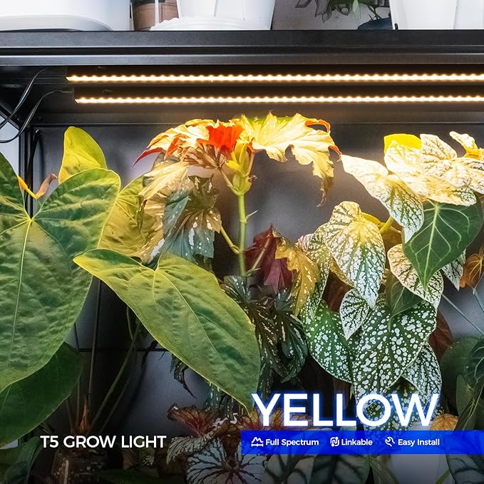 Barrina T5 Grow Lights for Indoor Plants, 3FT 128W (8 X 16W) Plant Grow Lights Indoor with Magnetic