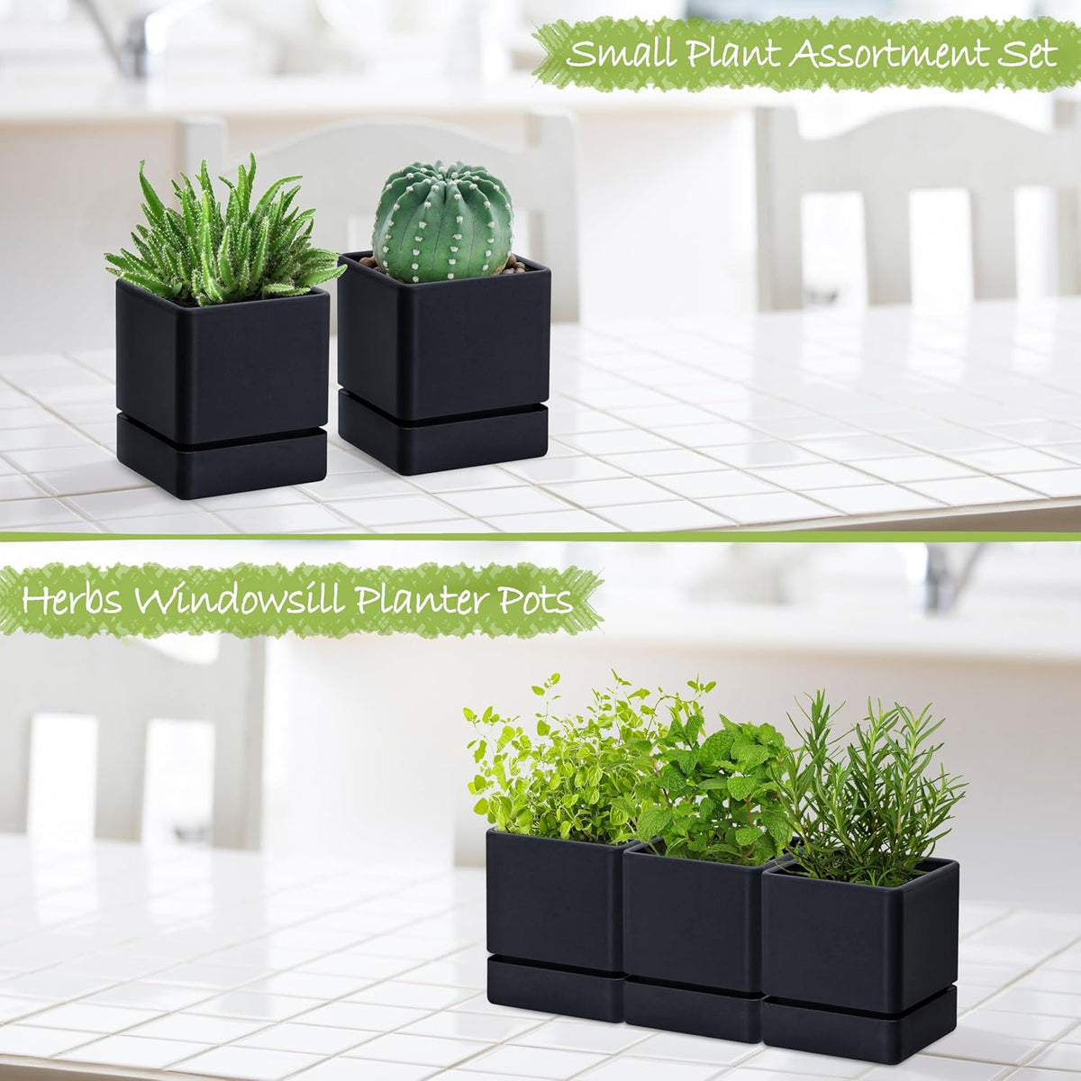 4 Inch Herb Planter Pot, Plastic Planter with Drainage Holes and Saucer, Modern Decorative