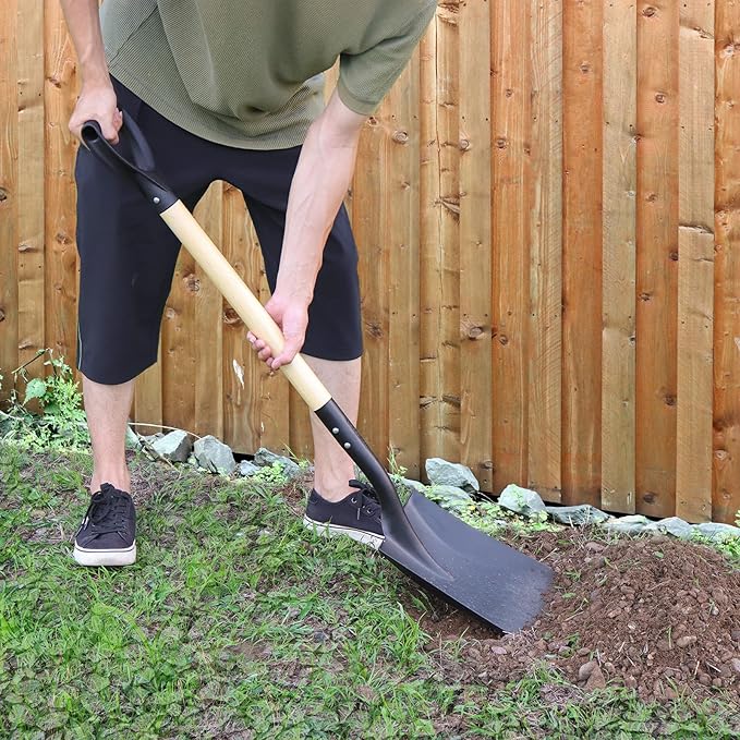 Square Shovel, Shovels for Digging with D-Handle, Overall 41-Inch Long Garden Shovel, Transfer