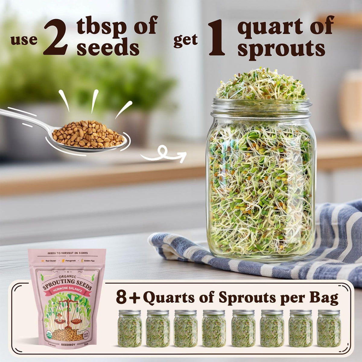 Seedboy Organic Non-GMO Sprouting Seeds, Hormone Balance Blend - USA Grown Microgreens Mix with