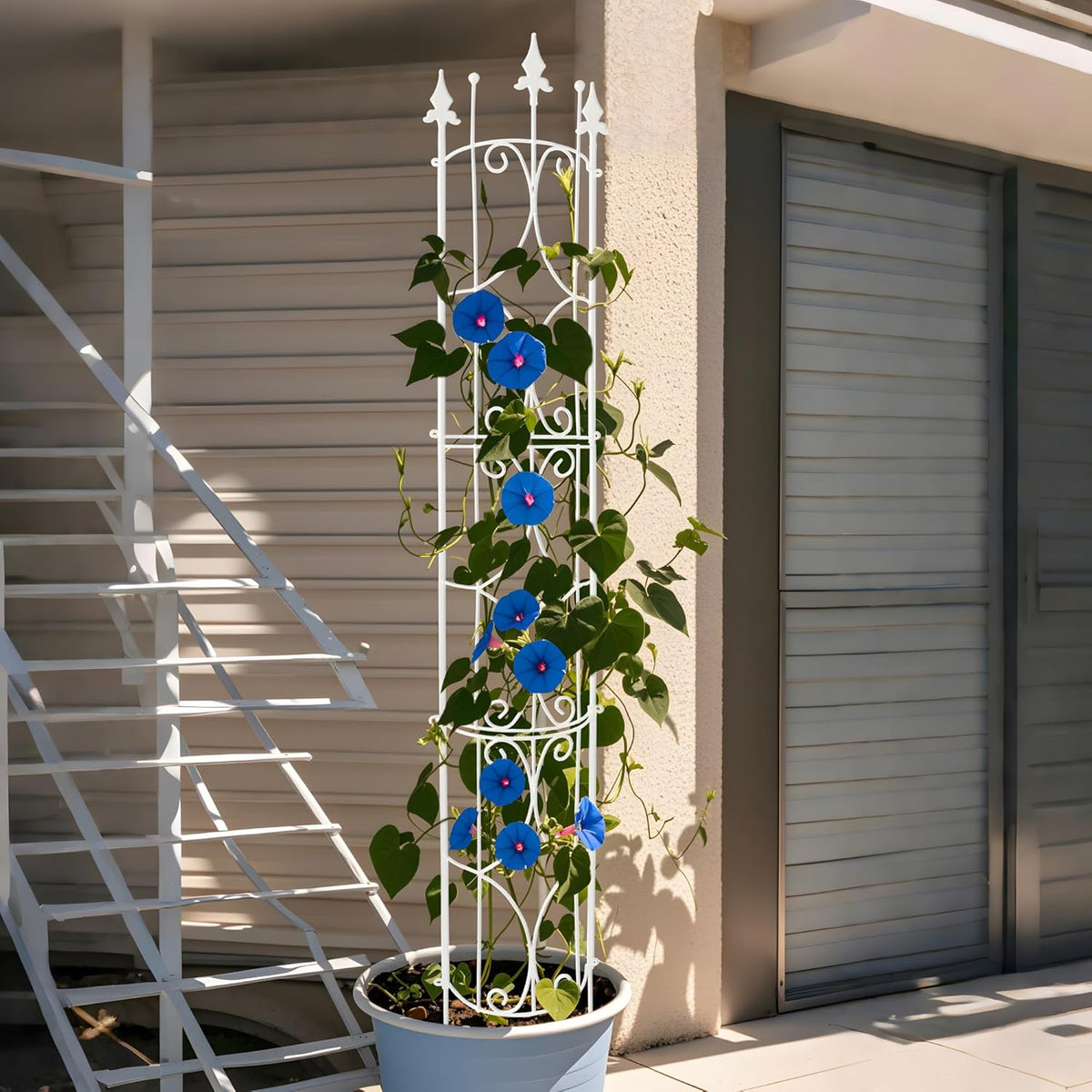 Garden Trellis 2 Pack 72'' H x 12'' W Metal Plant Trellis Indoor/Outdoor Metal Garden Trellis Plant