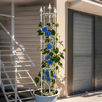 Garden Trellis 2 Pack 72'' H x 12'' W Metal Plant Trellis Indoor/Outdoor Metal Garden Trellis Plant