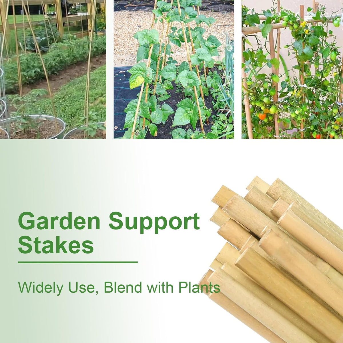 Garden Stakes 4ft, Natural Bamboo Stakes 4 Feet, Thicker Sturdy Plant Stakes 25 Pack for Tomatoes