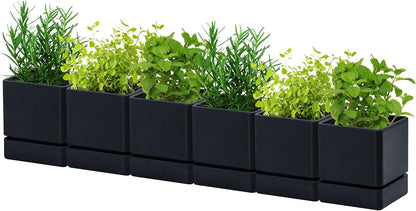 4 Inch Herb Planter Pot, Plastic Planter with Drainage Holes and Saucer, Modern Decorative