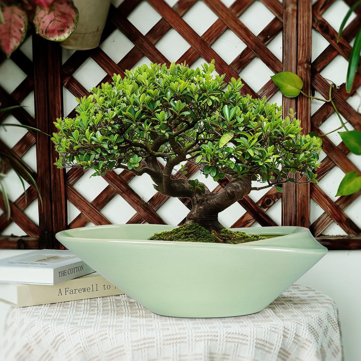 Ceramic Bonsai Pot - 18 Inch Planter with Drainage Hole Large Modern Bonsai Planter Decorative